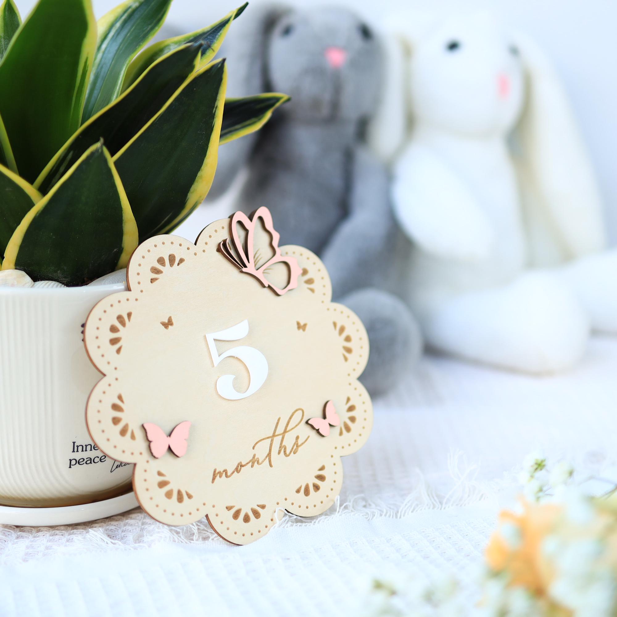 Baby Girl Monthly Milestone, Baby Girl Sign, Butterfly Baby Girl Milestone Card, Baby Shower Months, Baby Milestone Sign, Baby Photo Prop