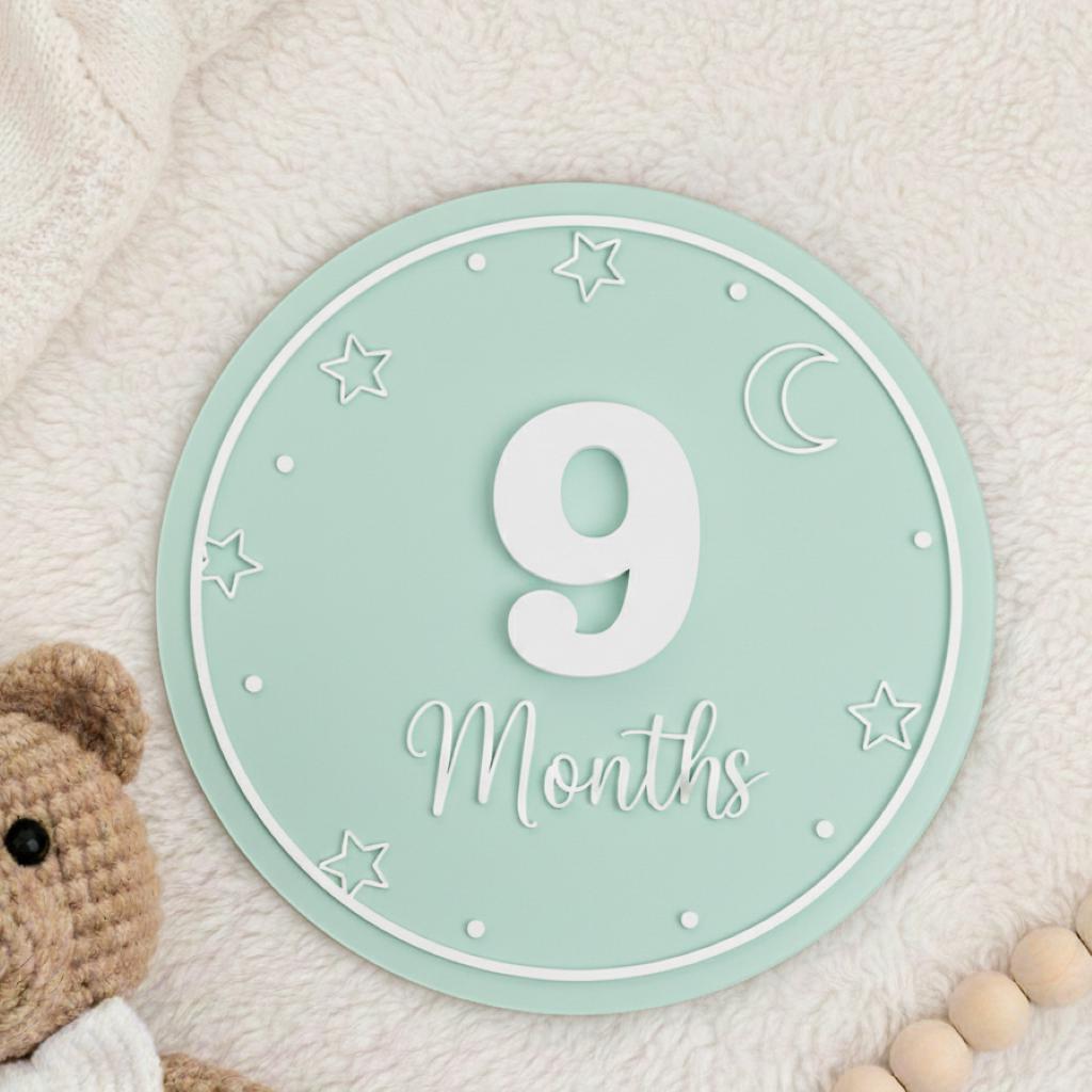 Acrylic Baby Monthly Milestone Sign with Numbers, Newborn Photo Prop