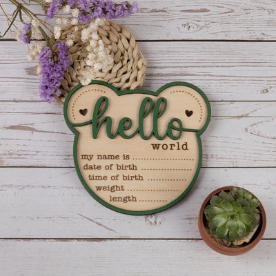 Baby Announcement Sign, Bear Baby Name Sign, Hello World Sign, Baby Boy Girl Birth Stats Sign, Custom Newborn Stats, Hospital Name Sign