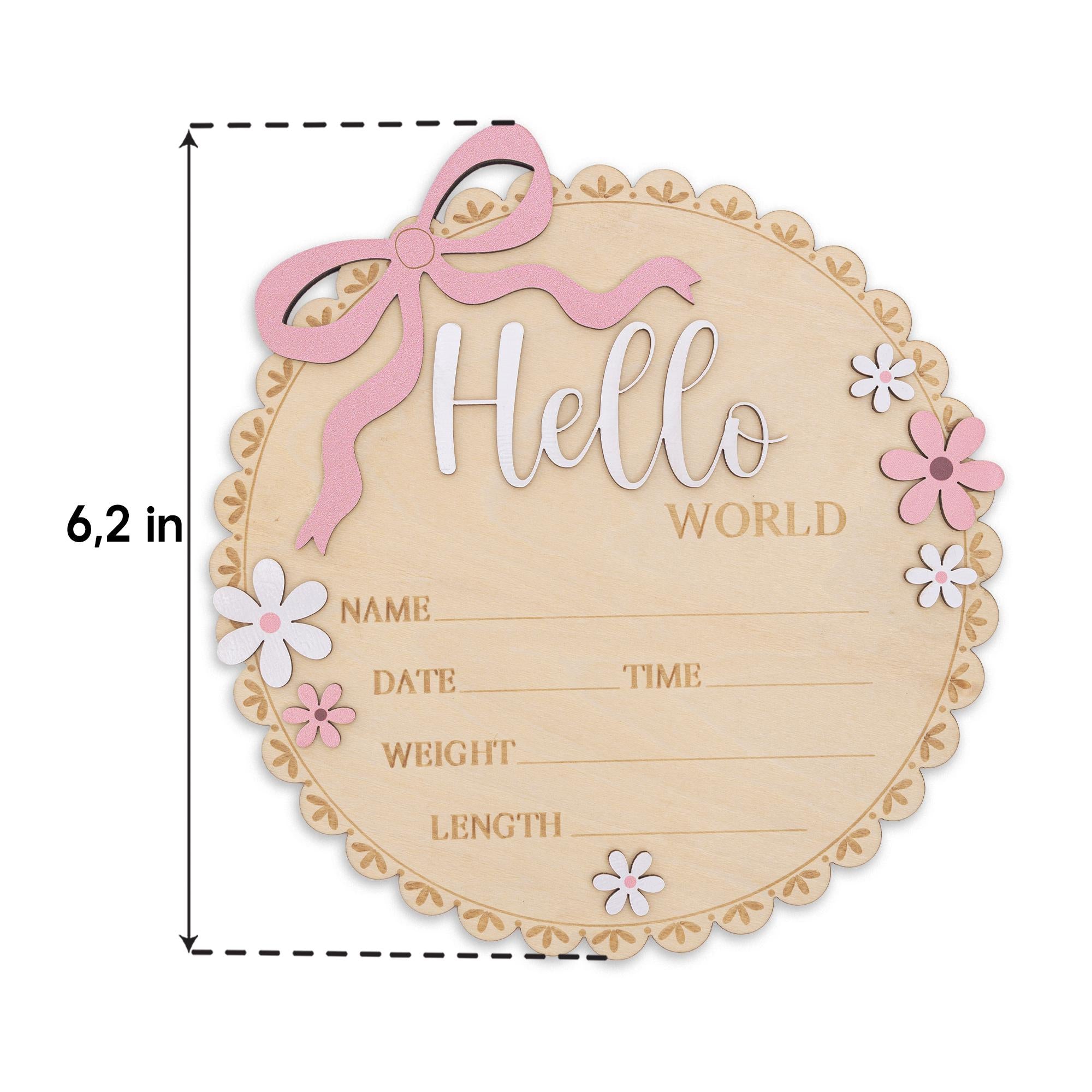 Baby Girl Hello World Sign Wooden Birth Stats Baby Shower Gift
