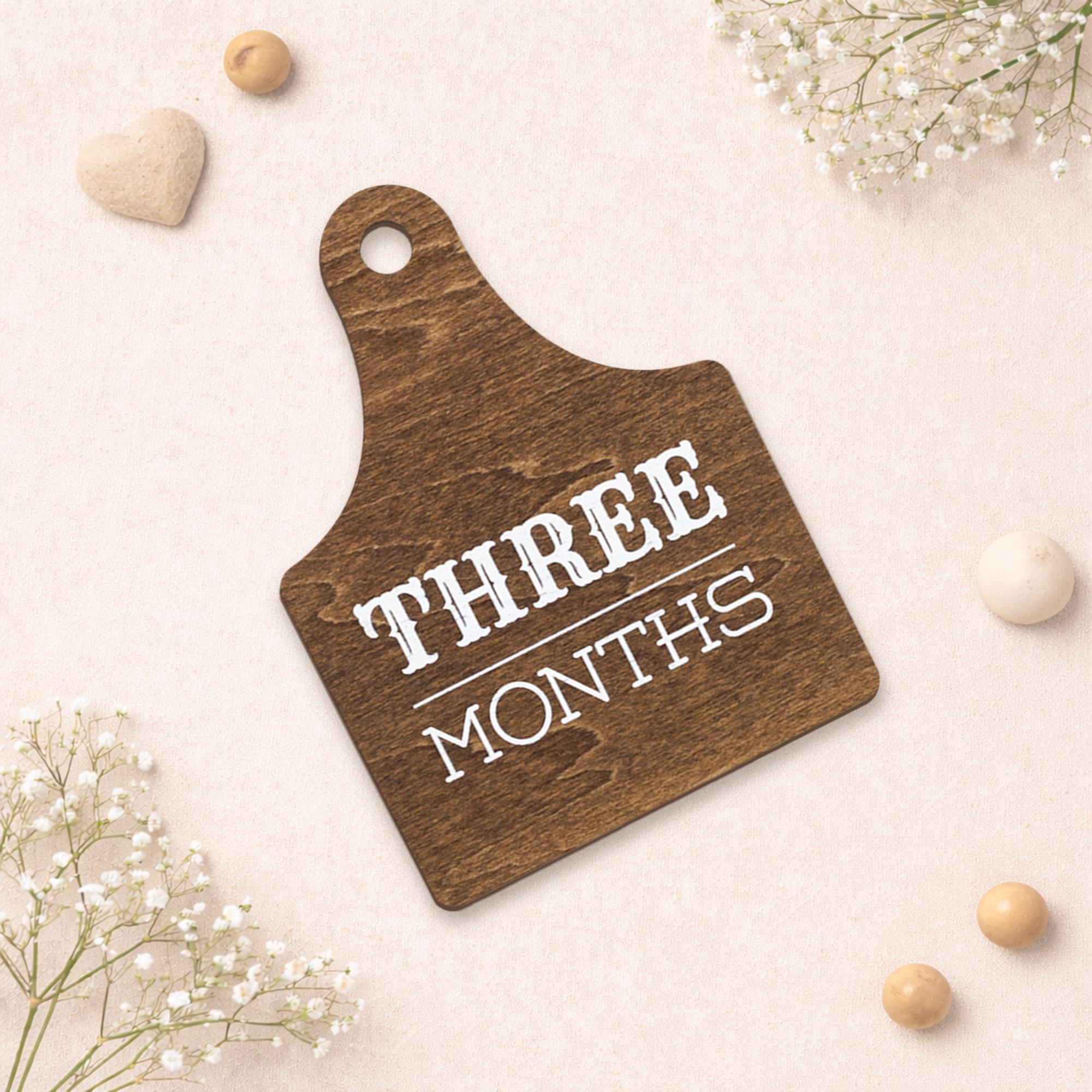 Wooden Baby Monthly Milestone Signs Set, Rustic First Year Photo Props
