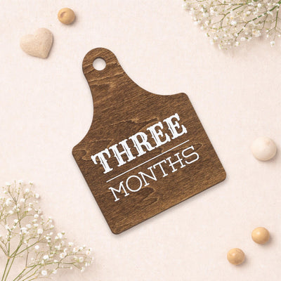 Wooden Baby Monthly Milestone Signs Set, Rustic First Year Photo Props