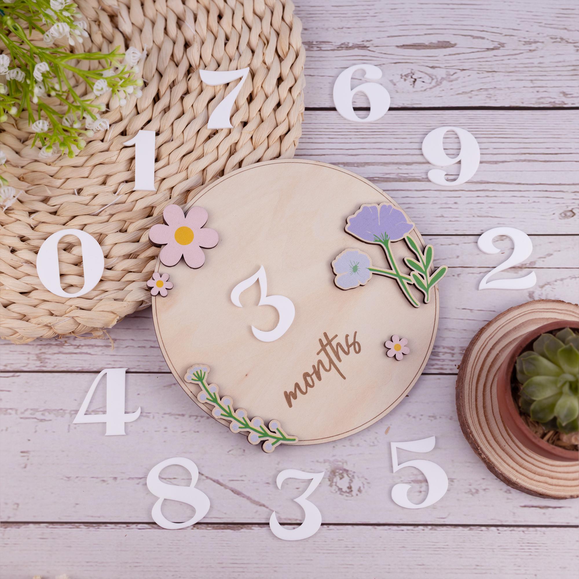 Personalized Wooden Monthly Milestone Sign, Custom Baby Milestone Marker with Interchangeable Numbers, Baby Growth Sign, Baby Shower Gift