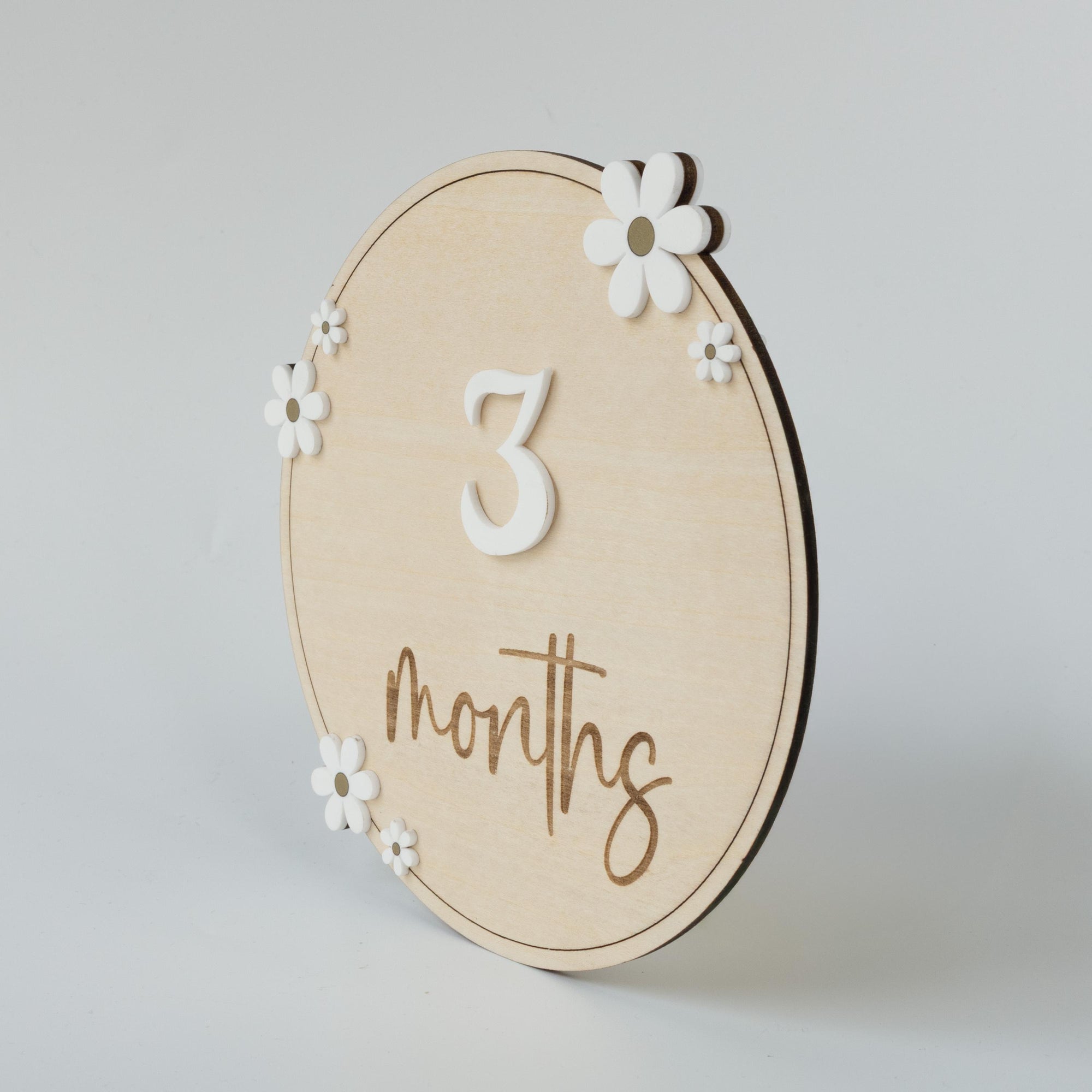 Baby Monthly Milestone Sign, Baby Photo Prop, Baby Girl Month Milestone, Monthly Milestone Photo, Monthly Milestone Sign, Milestone Marker