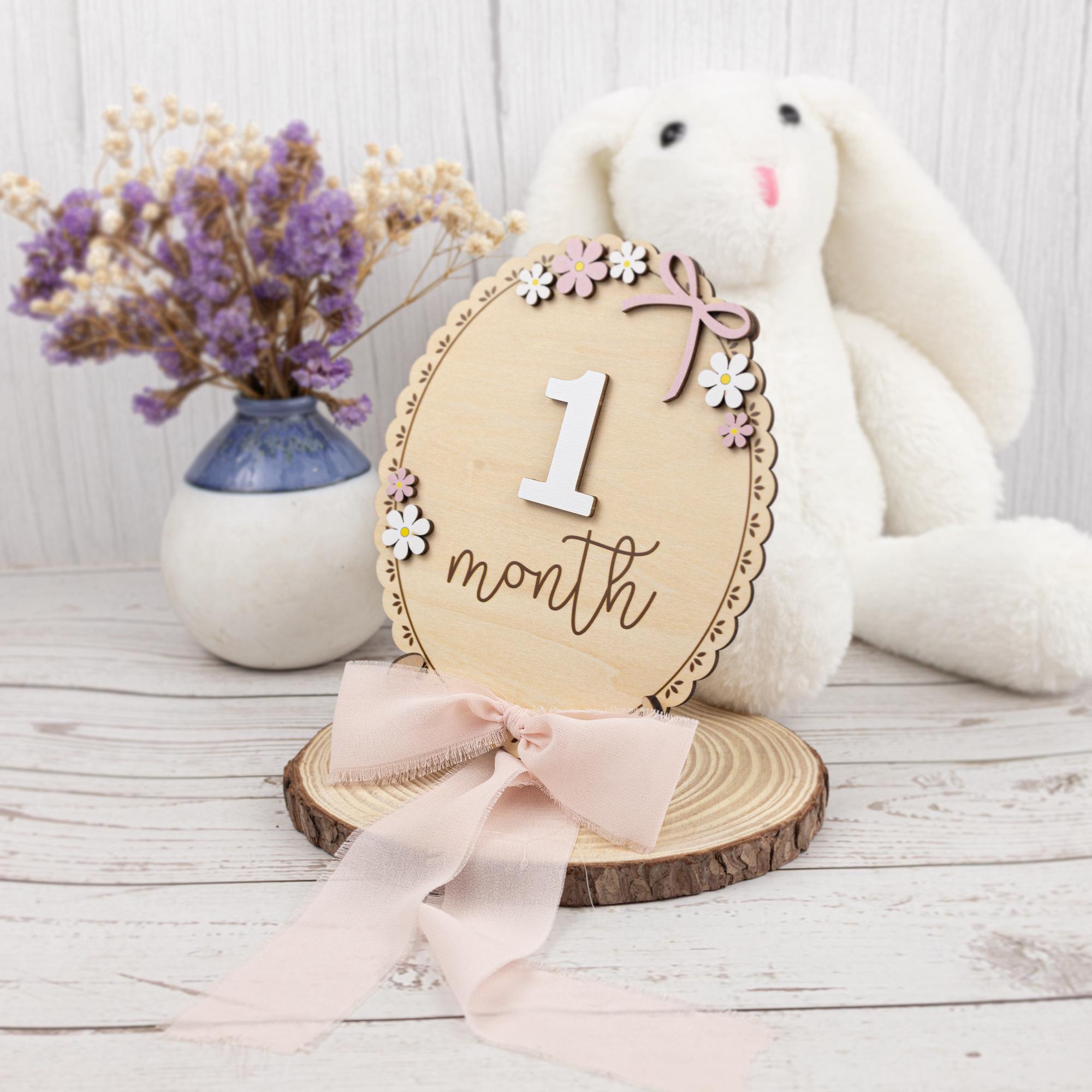 Daisy Monthly Milestone, Baby Milestone, Baby Girl Photo Prop, Boho Baby Milestone,Wooden Daisy Flower Milestone Disc,Monthly Baby Milestone
