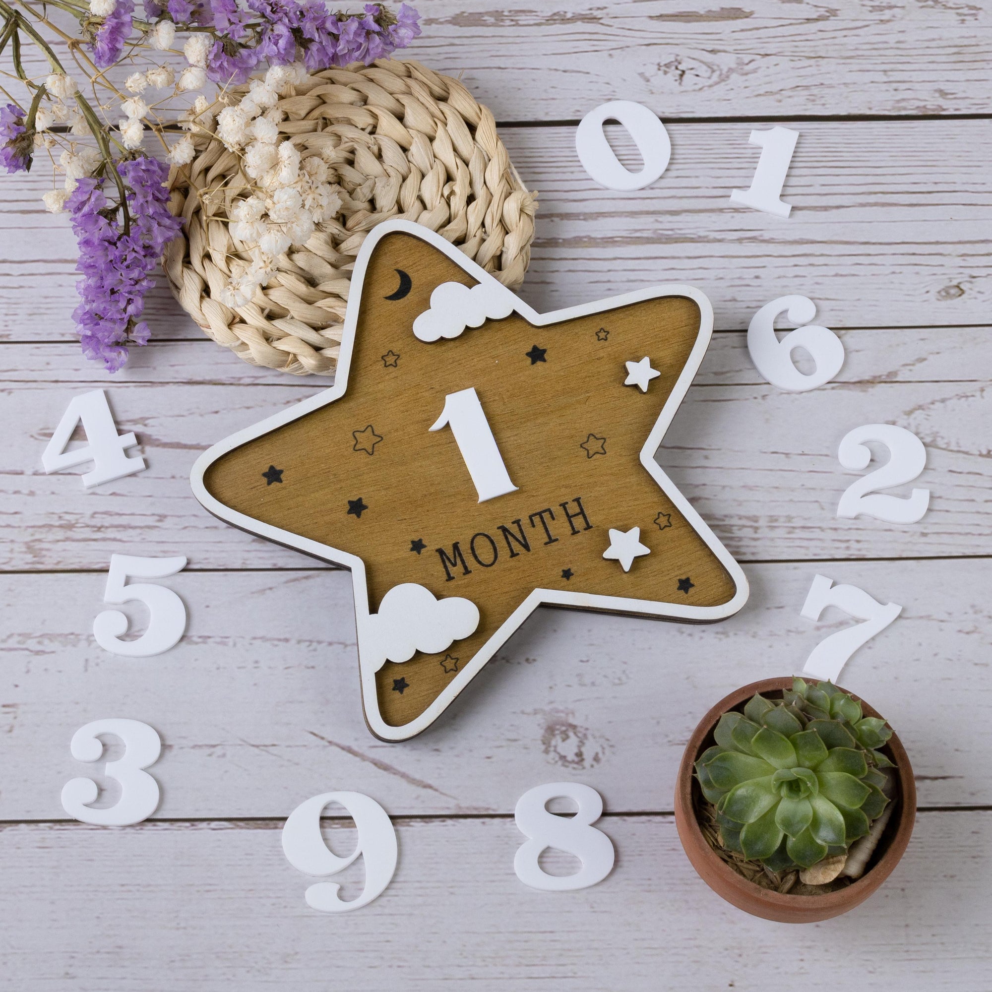 Baby Monthly Milestone Marker, Scalloped Monthly Baby Milestone Disc, Newborn Infant Month Prop, Baby Shower Gift, Night Sky Baby Photo Prop