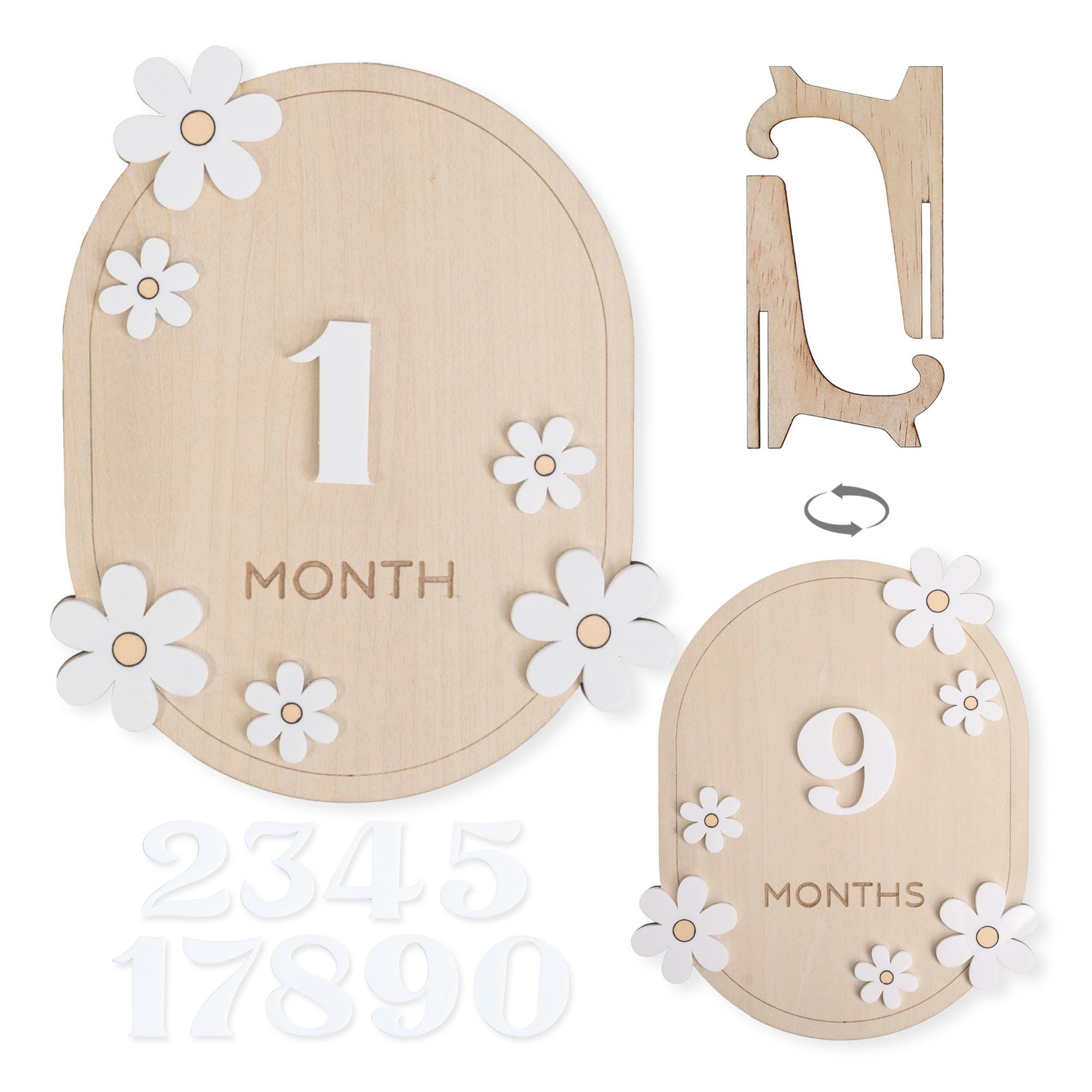 3D Daisy Milestone Cards, Interchangeable Milestone Set, Milestone Set For Photo Board, Boho Monthly Milestone Set, Floral Baby Milestone