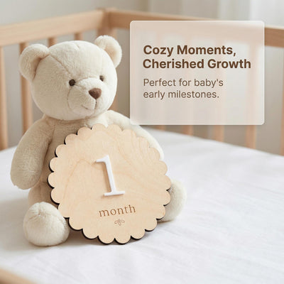 Baby Milestone Discs Wooden Monthly Milestone Sign Baby Month Markers Newborn Photo Prop First Year Baby Photo Props Baby Milestone Photo