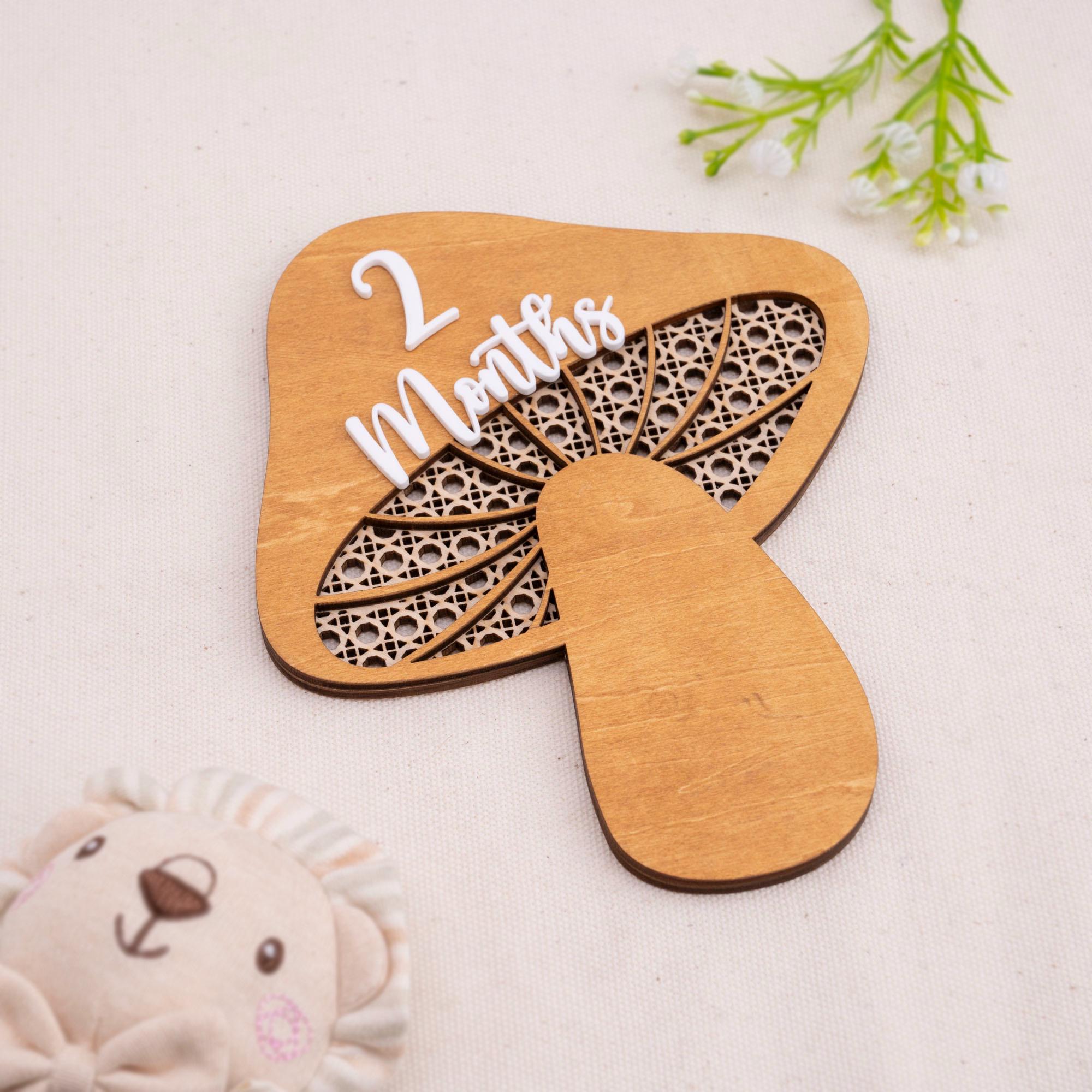 Mushroom Milestone Cards, Baby Milestone Set, Boho Newborn Photo Prop, Milestone Discs Baby,Milestone Photo Sign,Baby Keepsake,Nursery Decor