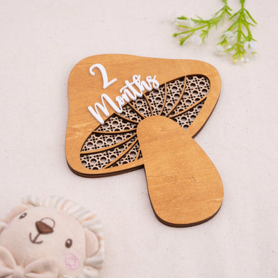 Mushroom Milestone Cards, Baby Milestone Set, Boho Newborn Photo Prop, Milestone Discs Baby,Milestone Photo Sign,Baby Keepsake,Nursery Decor