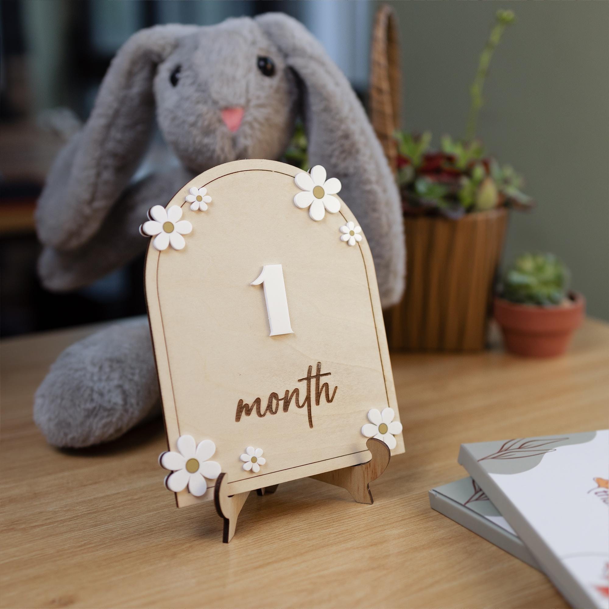 Daisy Flower Baby Months Milestones, Wooden 3D Monthly Milestone Discs For Baby Photos, Monthly Milestone Markers, Personalized Baby Sign