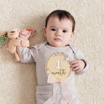 Daisy Monthly Milestone, Baby Milestone, Baby Girl Photo Prop, Boho Baby Milestone,Wooden Daisy Flower Milestone Disc,Monthly Baby Milestone