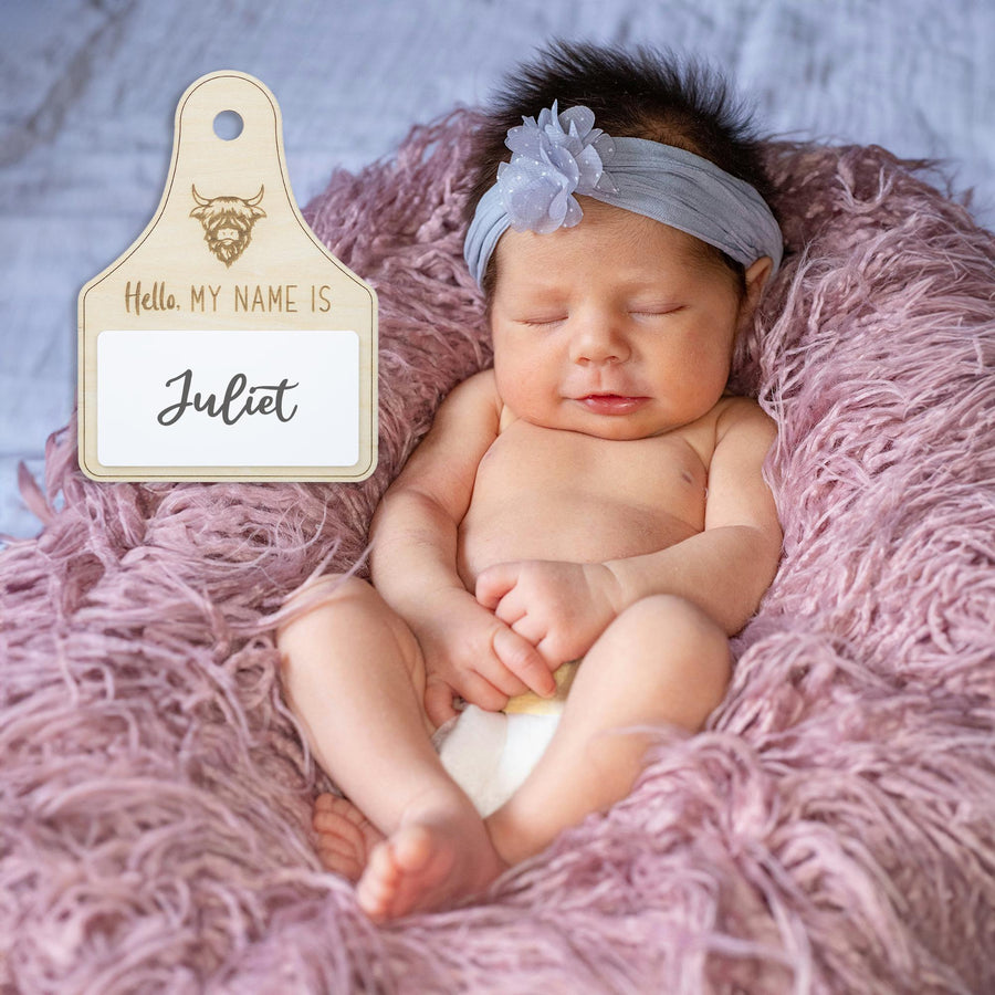 Highland Cow Baby Name Sign, Name Reveal Sign, Birth Announcement, Baby Birth Stats Sign, Baby Name Announcement, Name Announcement Sign