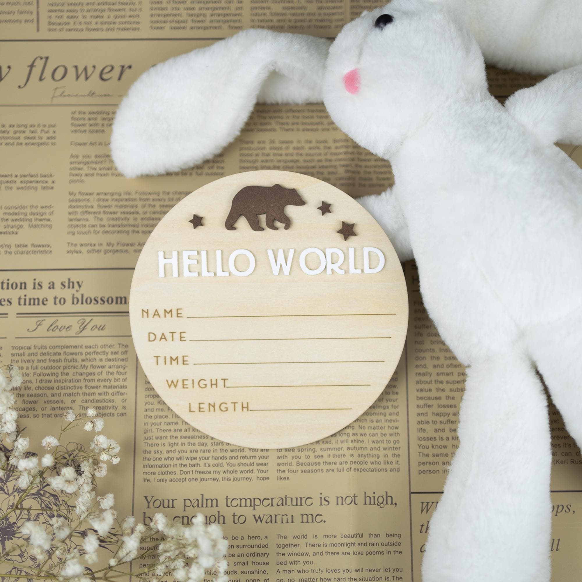 Hello World Sign, Birth Announcement, Birth Stats Sign, Baby Name Announcement, Hospital Name Sign, Newborn Wood Sign