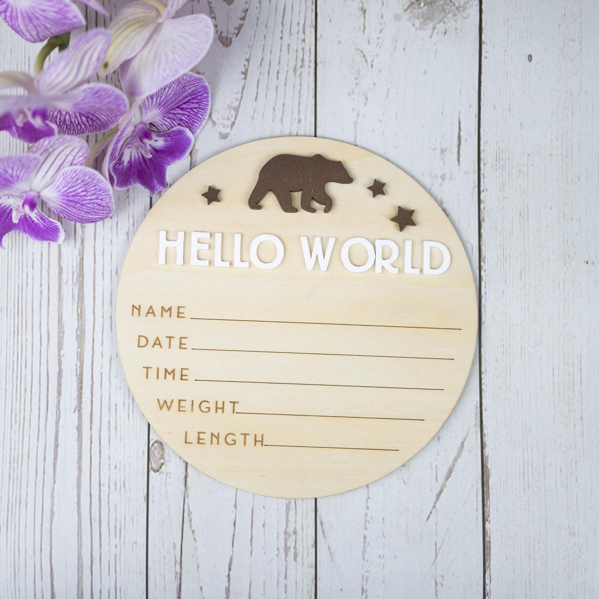 Hello World Sign, Birth Announcement, Birth Stats Sign, Baby Name Announcement, Hospital Name Sign, Newborn Wood Sign