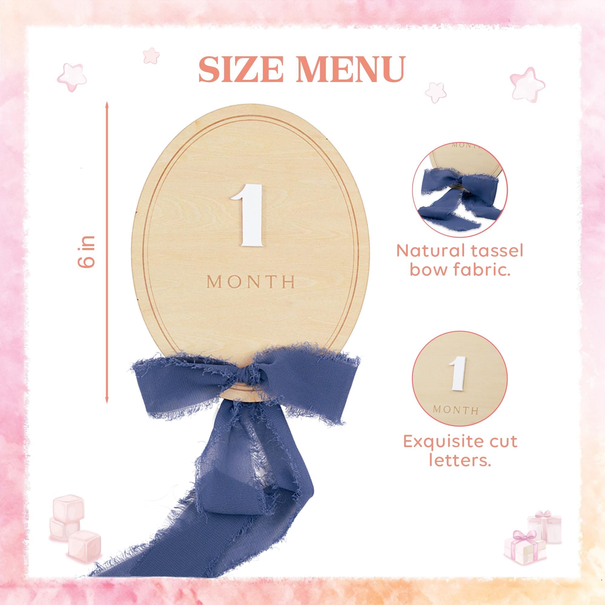 Ribbon Bow Interchangeable Milestone Set, Newborn Photo Prop, Baby Monthly Milestone Marker, Baby Shower Gift, Boho Baby Milestone, Nursery