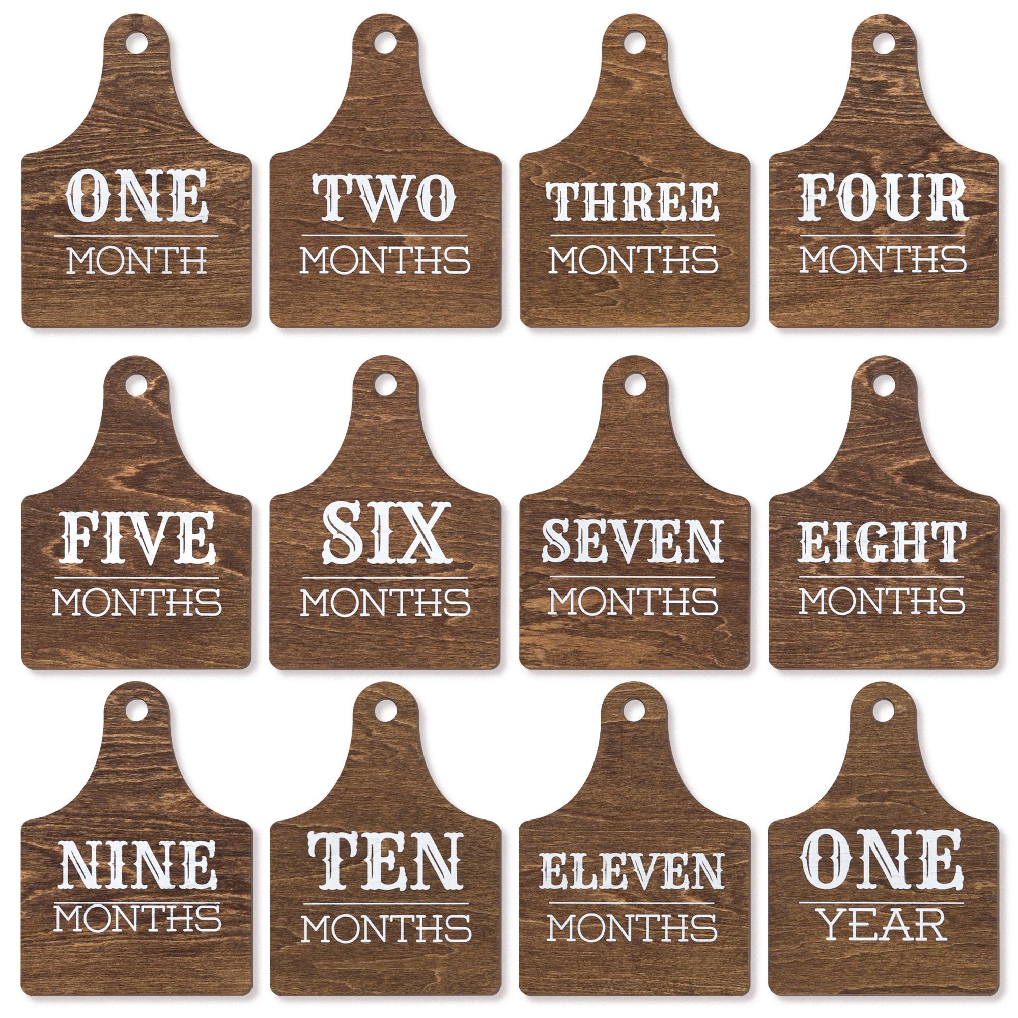 Wooden Baby Monthly Milestone Signs Set, Rustic First Year Photo Props