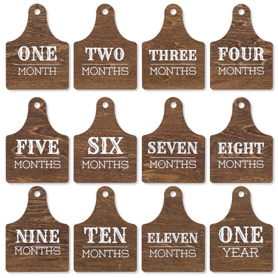Wooden Baby Monthly Milestone Signs Set, Rustic First Year Photo Props