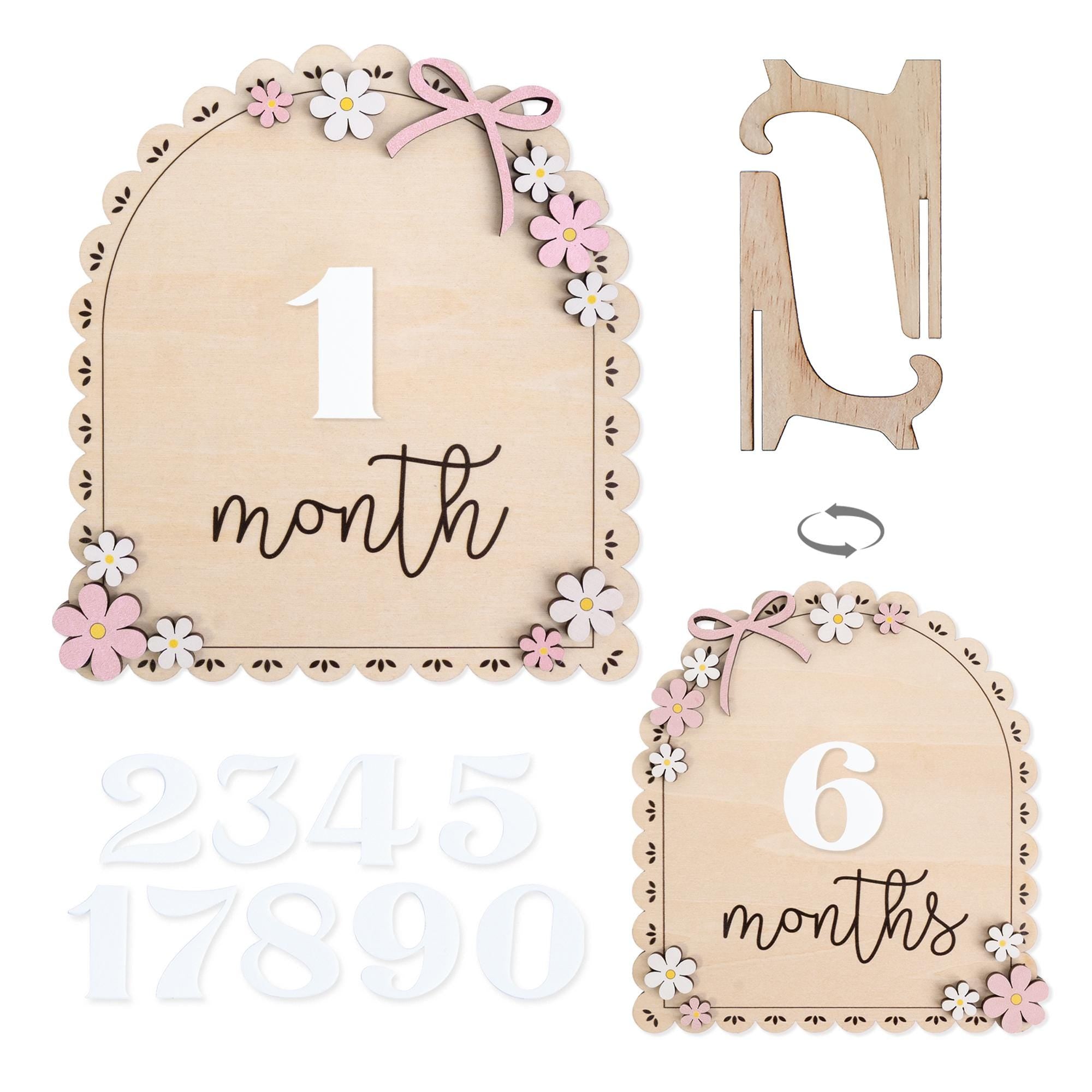 3D Baby Milestone Set Acrylic, Monthly Milestone Marker Wood, Baby's First Milestones, Boho Baby Milestone,Milestone Disc Baby,Nursery Decor