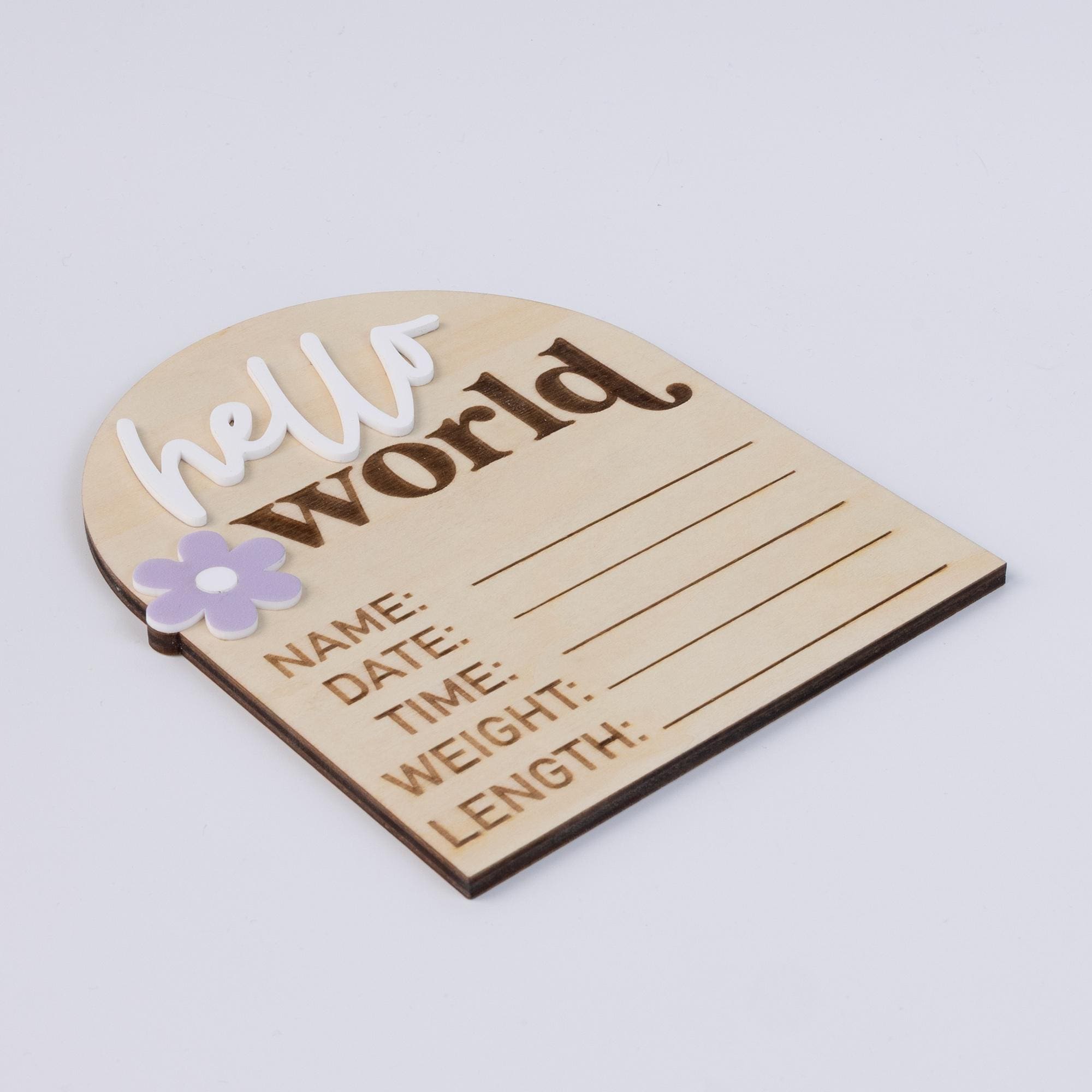 Hello World Sign, Baby Birth Announcement, Baby Name Announcement, Hospital Name Sign, Birth Star Sign, I’m New Here, Surprise Gender Sign