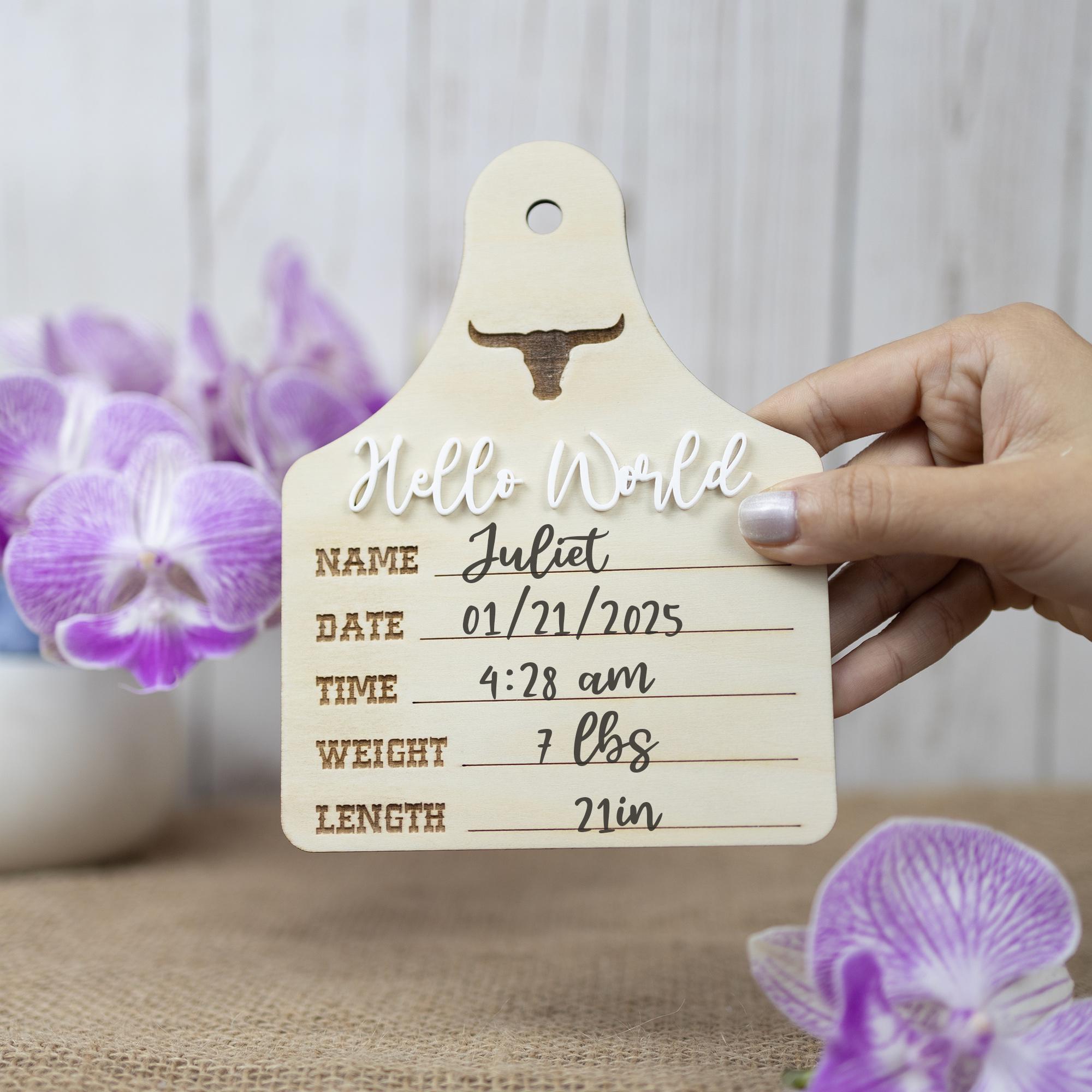 Baby Boy Birth Stats Sign, Hello World Baby Announcement Sign, Newborn Hospital Photo Prop, Boy Nursery Door Hanger, Newborn Photo Prop
