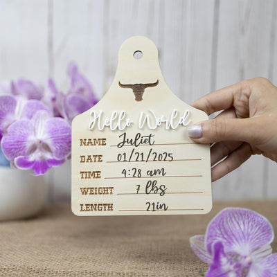 Baby Boy Birth Stats Sign, Hello World Baby Announcement Sign, Newborn Hospital Photo Prop, Boy Nursery Door Hanger, Newborn Photo Prop