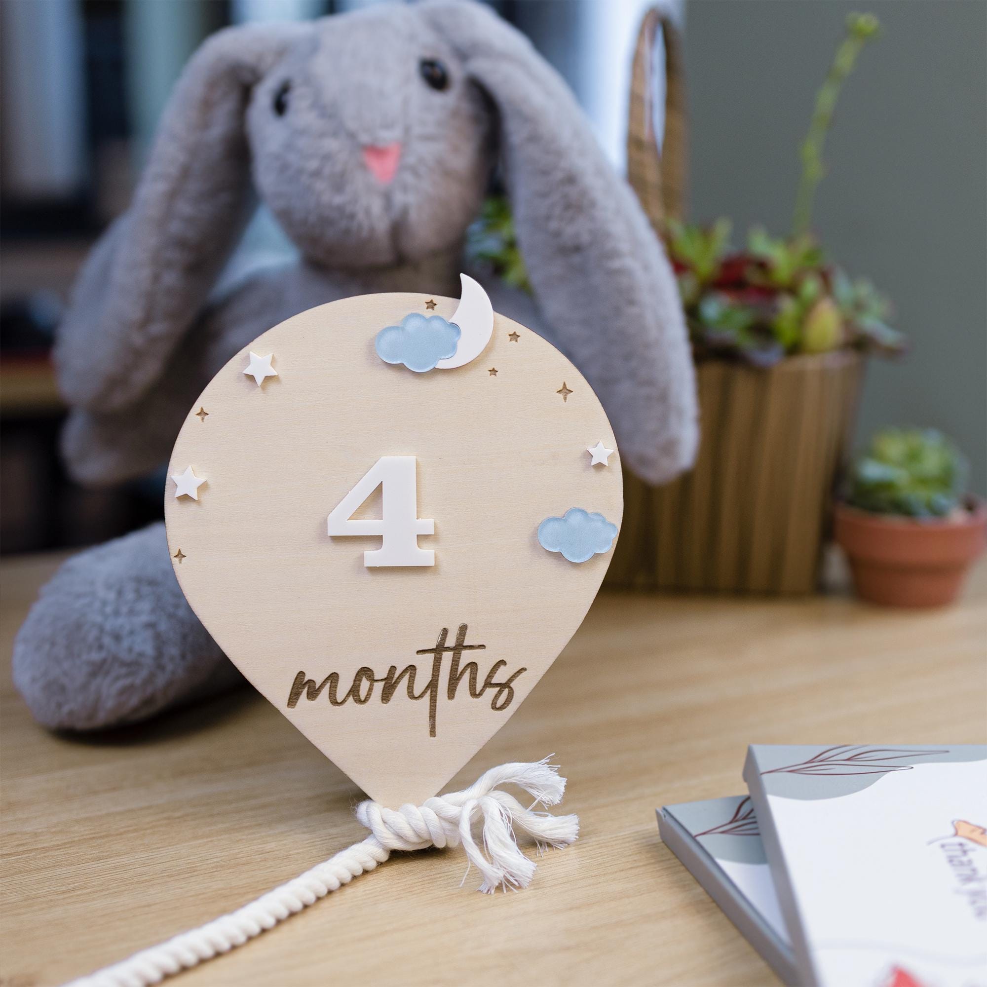 3D Monthly Milestone Discs for Baby Photos, Monthly Baby Milestone Discs, Engraved Wood Monthly Milestone Markers, Personalized Baby Sign
