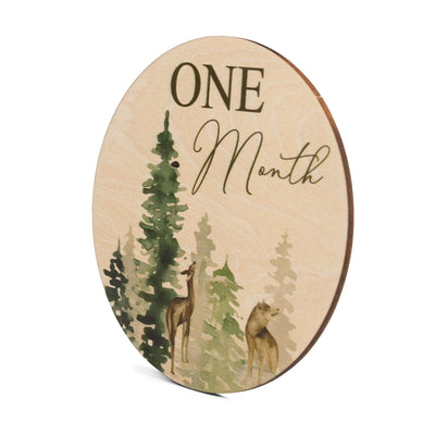 Monthly Milestone Disc For Baby Photos Wooden, Baby Monthly Milestone, Baby Milestone Discs, Newborn Gift, Baby Shower Gift,Baby Photo Props