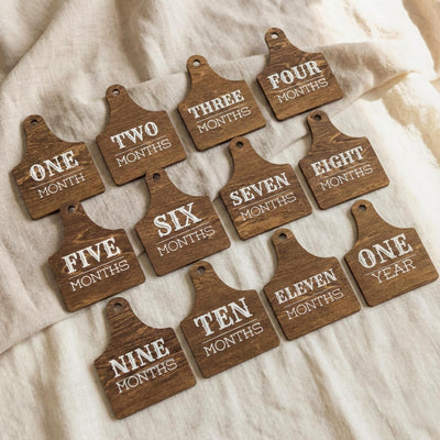 Wooden Baby Monthly Milestone Signs Set, Rustic First Year Photo Props