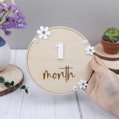 Baby Monthly Milestone Sign, Baby Photo Prop, Baby Girl Month Milestone, Monthly Milestone Photo, Monthly Milestone Sign, Milestone Marker