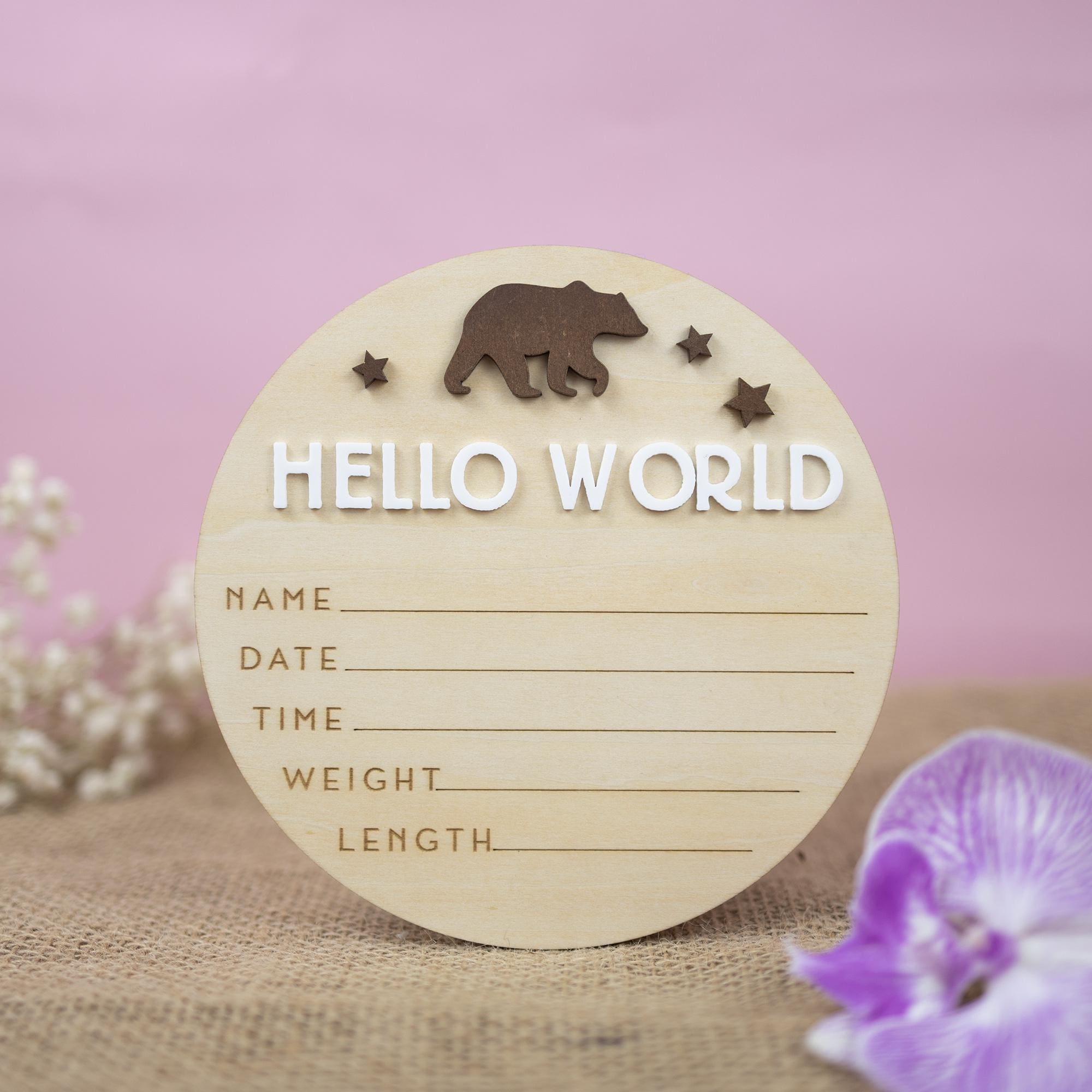 Hello World Sign, Birth Announcement, Birth Stats Sign, Baby Name Announcement, Hospital Name Sign, Newborn Wood Sign