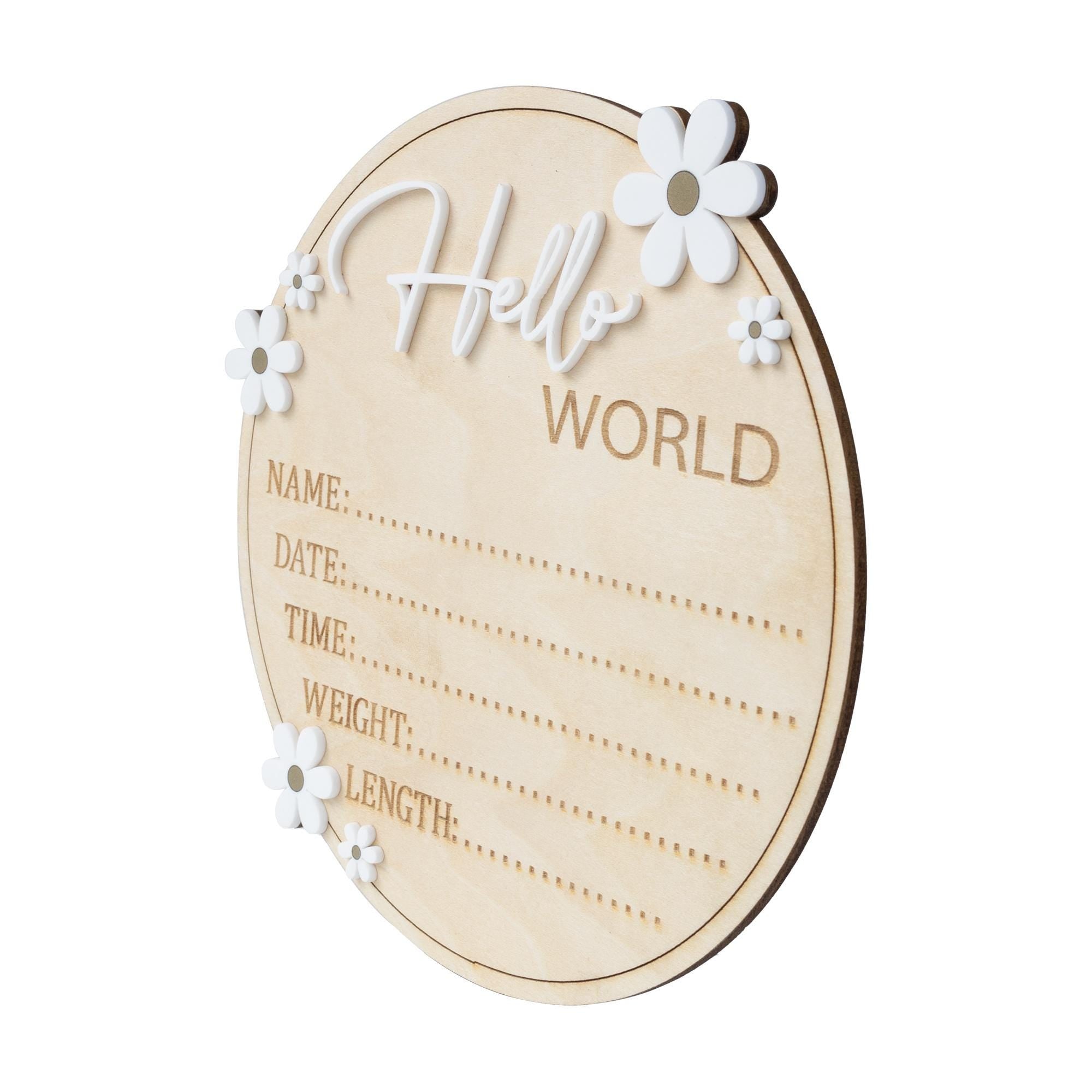 Baby Birth Stat Sign, Hello World Baby Sign Daisy, Baby Name Announcement, Hospital Name Sign, Baby Wooden Sign, Newborn Girl Announcement