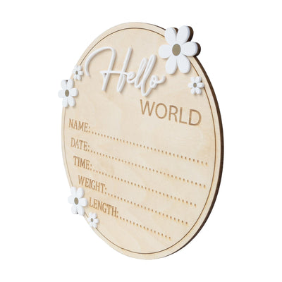 Baby Birth Stat Sign, Hello World Baby Sign Daisy, Baby Name Announcement, Hospital Name Sign, Baby Wooden Sign, Newborn Girl Announcement