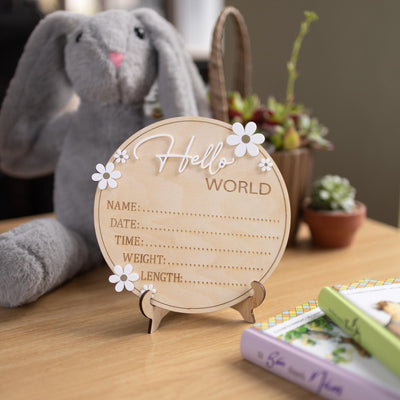 Baby Birth Stat Sign, Hello World Baby Sign Daisy, Baby Name Announcement, Hospital Name Sign, Baby Wooden Sign, Newborn Girl Announcement