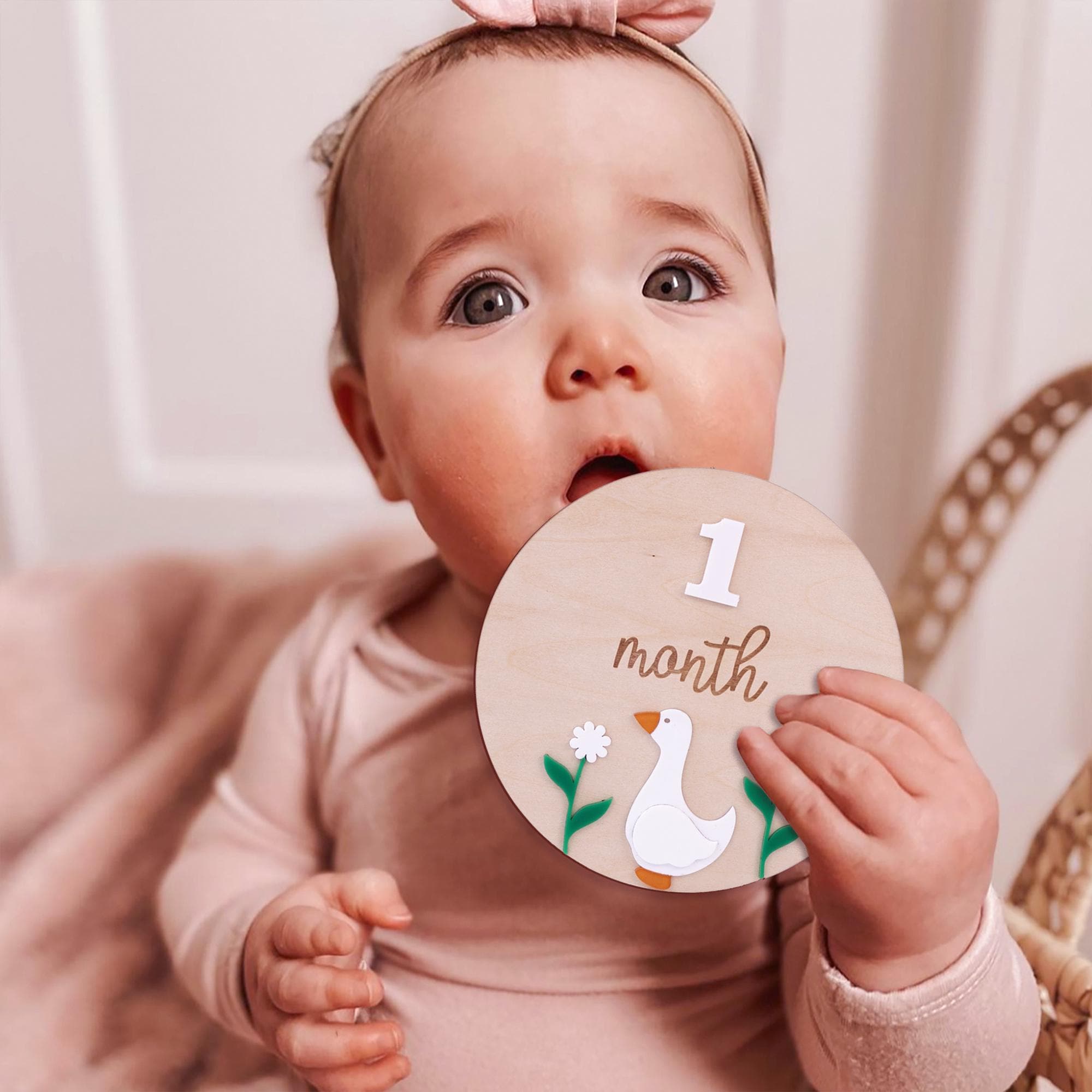 Wooden Baby Milestone Card, Interchangeable Milestone Card, Duck Baby Decor, Baby Monthly Milestone Marker, Baby Shower Gift, Nursery Decor