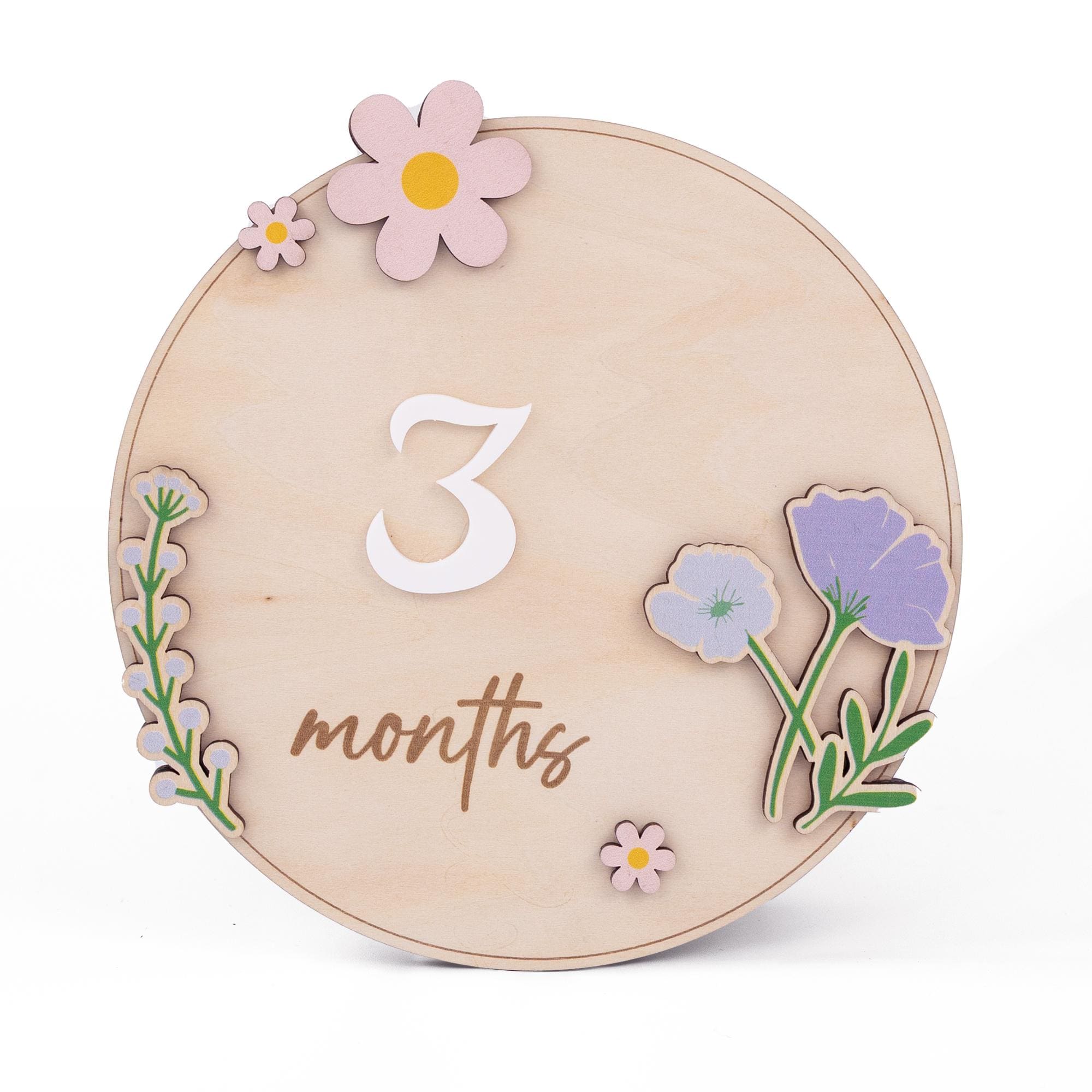 Personalized Wooden Monthly Milestone Sign, Custom Baby Milestone Marker with Interchangeable Numbers, Baby Growth Sign, Baby Shower Gift