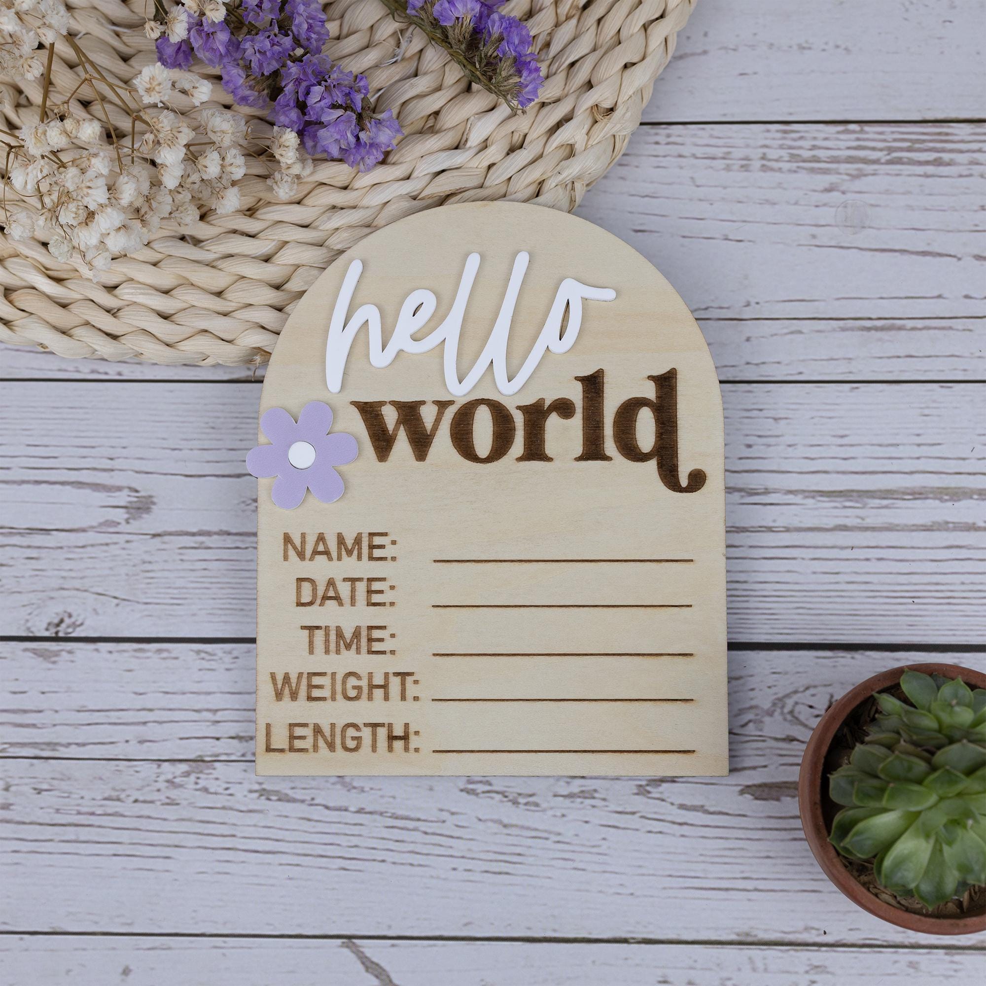 Hello World Sign, Baby Birth Announcement, Baby Name Announcement, Hospital Name Sign, Birth Star Sign, I’m New Here, Surprise Gender Sign