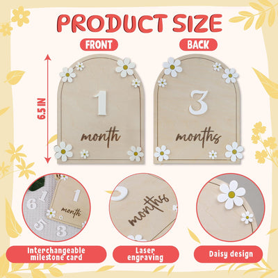 Daisy Flower Baby Months Milestones, Wooden 3D Monthly Milestone Discs For Baby Photos, Monthly Milestone Markers, Personalized Baby Sign