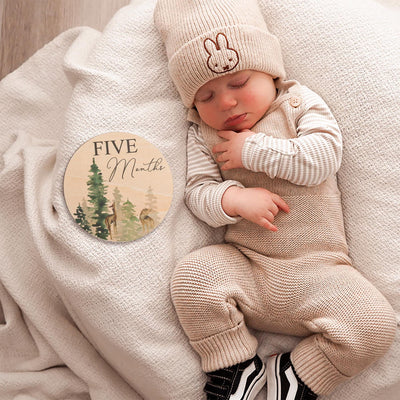 Monthly Milestone Disc For Baby Photos Wooden, Baby Monthly Milestone, Baby Milestone Discs, Newborn Gift, Baby Shower Gift,Baby Photo Props