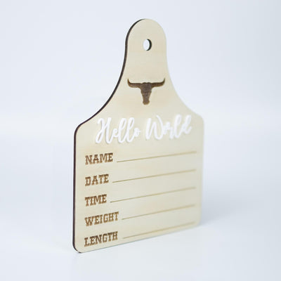 Baby Boy Birth Stats Sign, Hello World Baby Announcement Sign, Newborn Hospital Photo Prop, Boy Nursery Door Hanger, Newborn Photo Prop