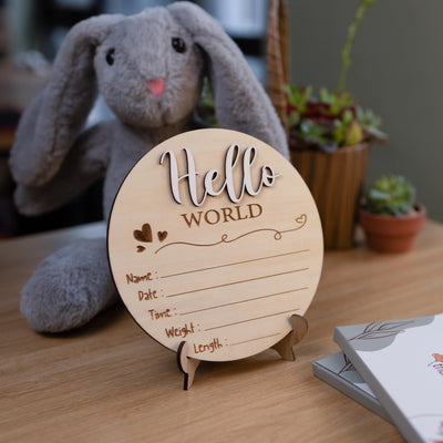 Baby Stat Sign, Hello World Birth Announcement, Hello World Baby Announcement Sign, Custom Newborn Name Sign, Baby Birth Stats Sign