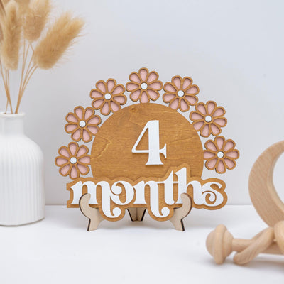 Wooden Baby Milestone Set, Daisy Milestone, Newborn Photo Prop Girl, Monthly Milestones Photo Props, Weekly Newborn, Boho Baby Milestone