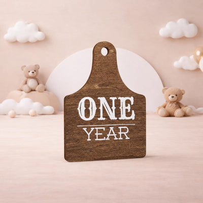 Wooden Baby Monthly Milestone Signs Set, Rustic First Year Photo Props