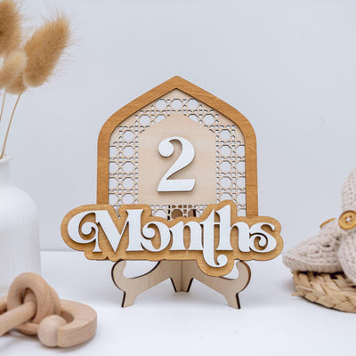 Milestone Markers, Modern Arch Baby Monthly Milestone Marker, Monthly Signs For Baby, Monthly Milestone Card, Baby Shower Gift,Nursery Decor