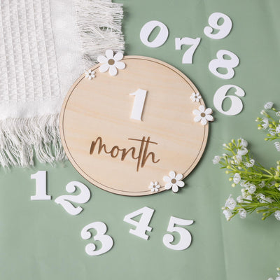 Baby Monthly Milestone Sign, Baby Photo Prop, Baby Girl Month Milestone, Monthly Milestone Photo, Monthly Milestone Sign, Milestone Marker