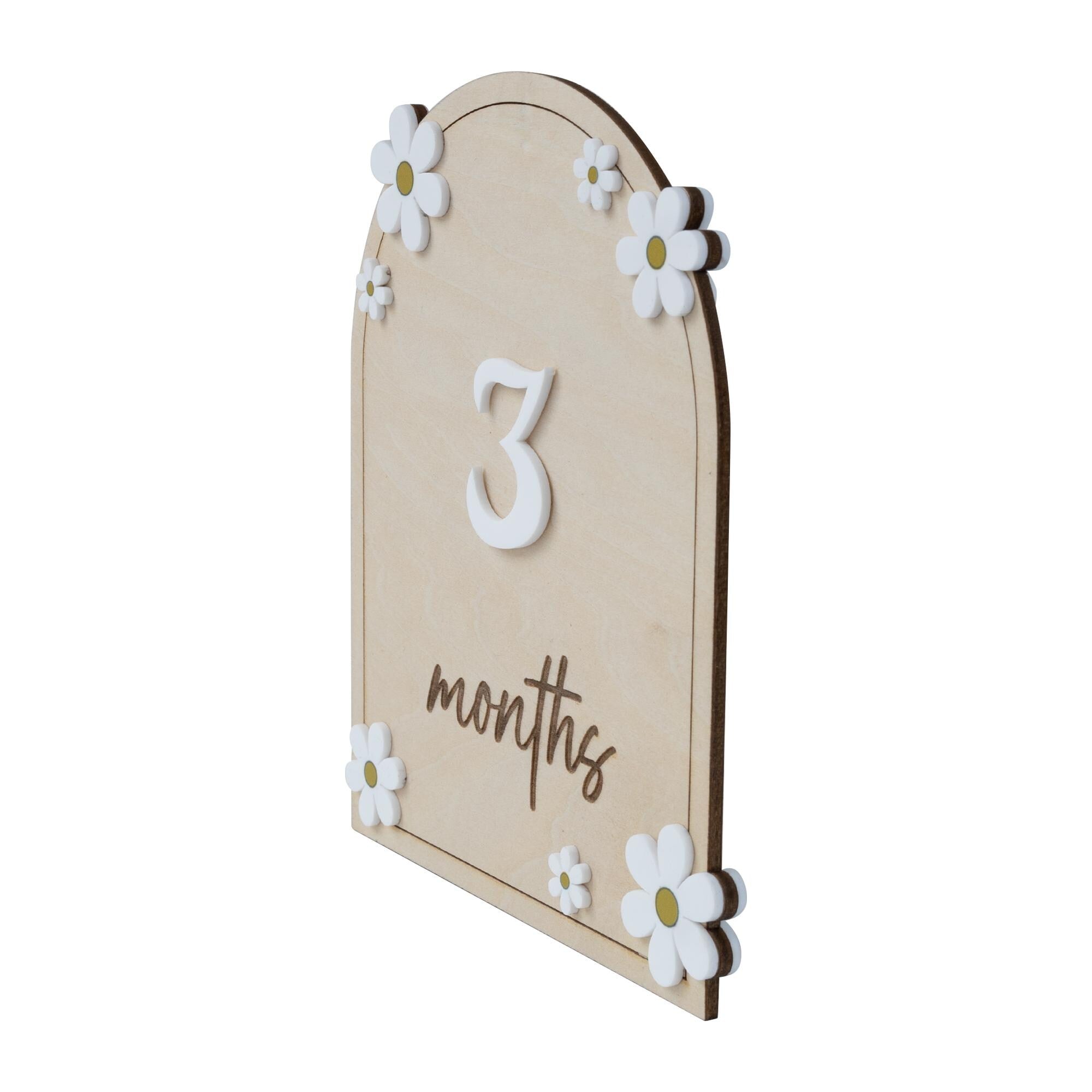 Daisy Flower Baby Months Milestones, Wooden 3D Monthly Milestone Discs For Baby Photos, Monthly Milestone Markers, Personalized Baby Sign