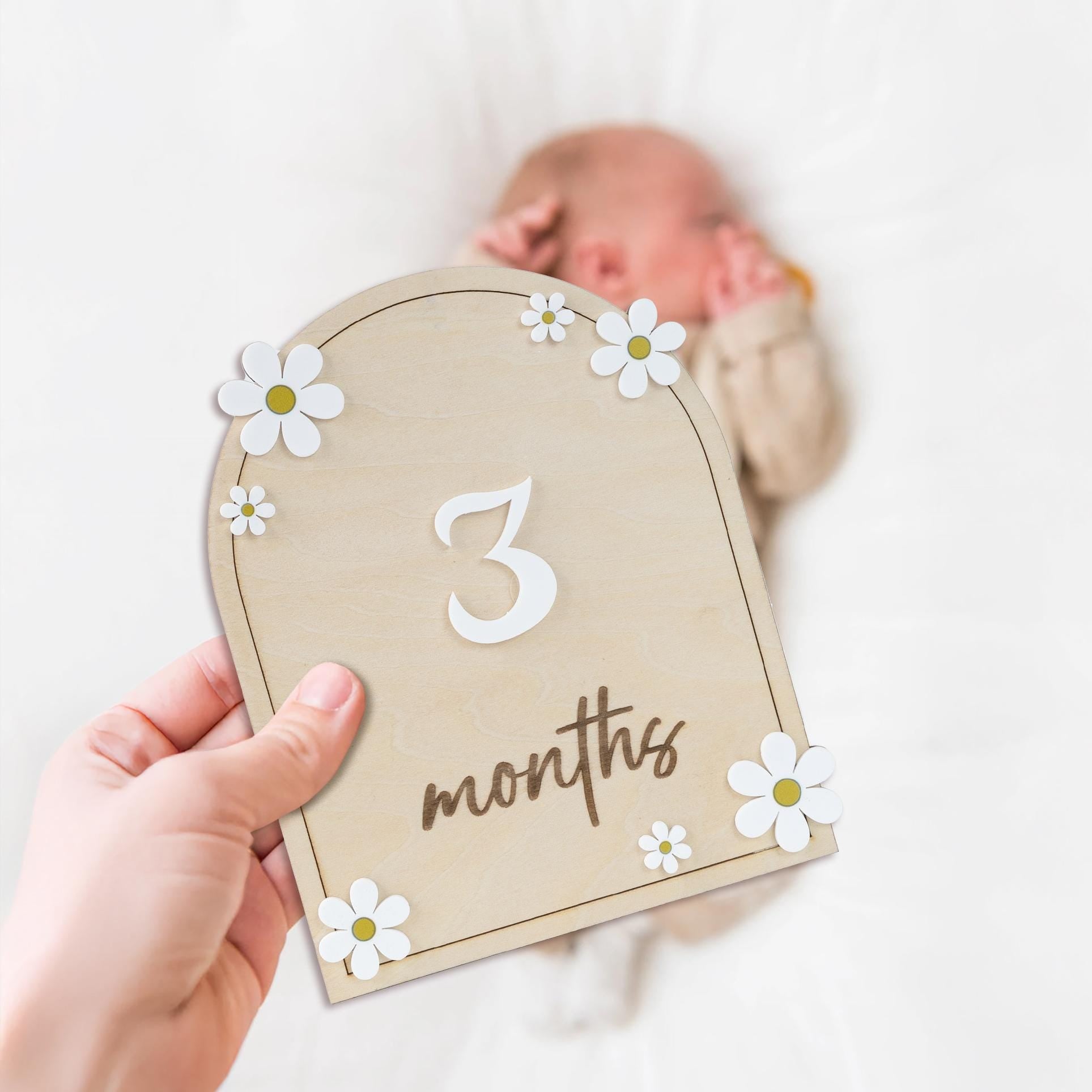 Daisy Flower Baby Months Milestones, Wooden 3D Monthly Milestone Discs For Baby Photos, Monthly Milestone Markers, Personalized Baby Sign