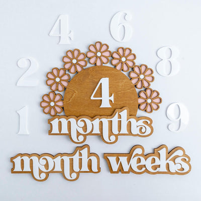 Wooden Baby Milestone Set, Daisy Milestone, Newborn Photo Prop Girl, Monthly Milestones Photo Props, Weekly Newborn, Boho Baby Milestone