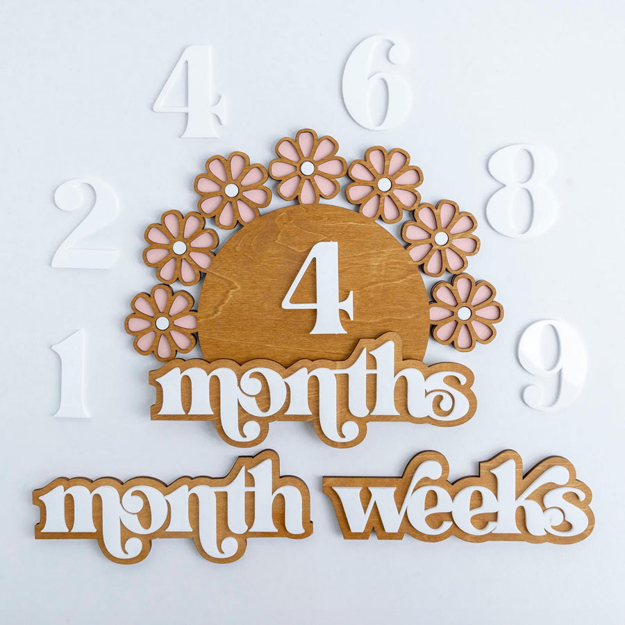 Wooden Baby Milestone Set, Daisy Milestone, Newborn Photo Prop Girl, Monthly Milestones Photo Props, Weekly Newborn, Boho Baby Milestone