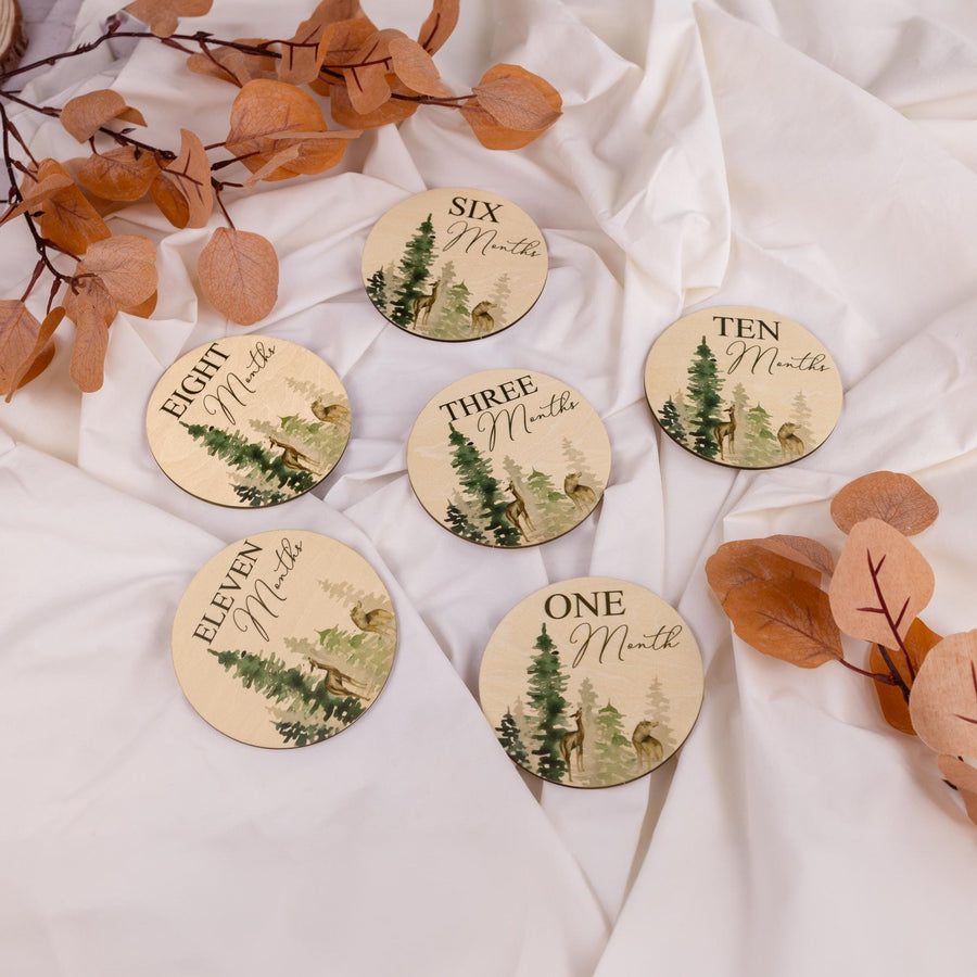 Monthly Milestone Disc For Baby Photos Wooden, Baby Monthly Milestone, Baby Milestone Discs, Newborn Gift, Baby Shower Gift,Baby Photo Props